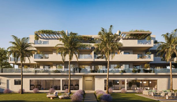 Attique - Nouvelle construction -  -
                Casares Costa