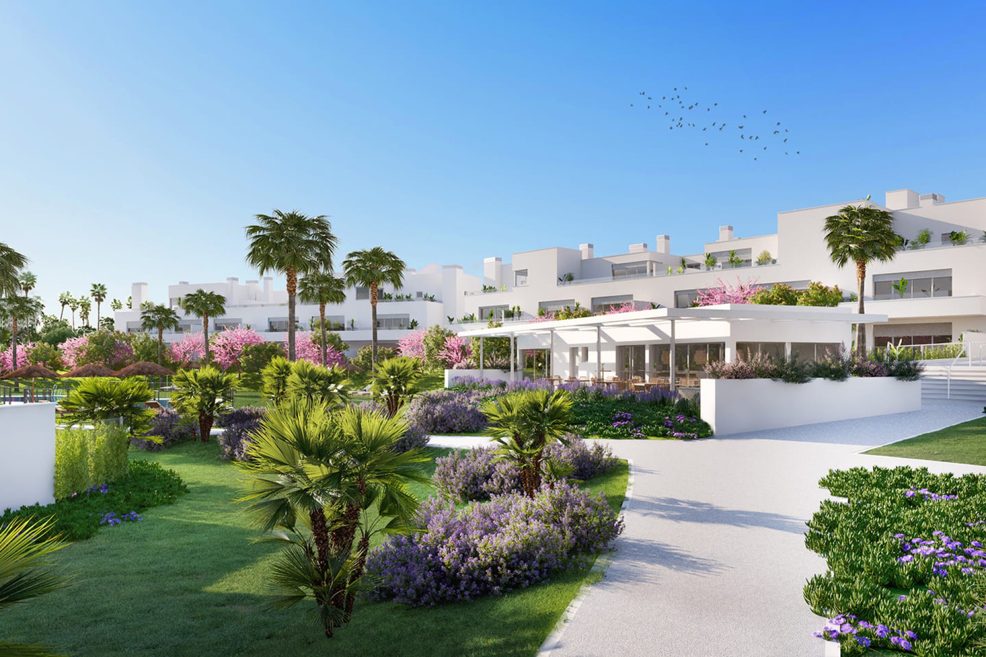 New Build - ground-floor -
 - Estepona