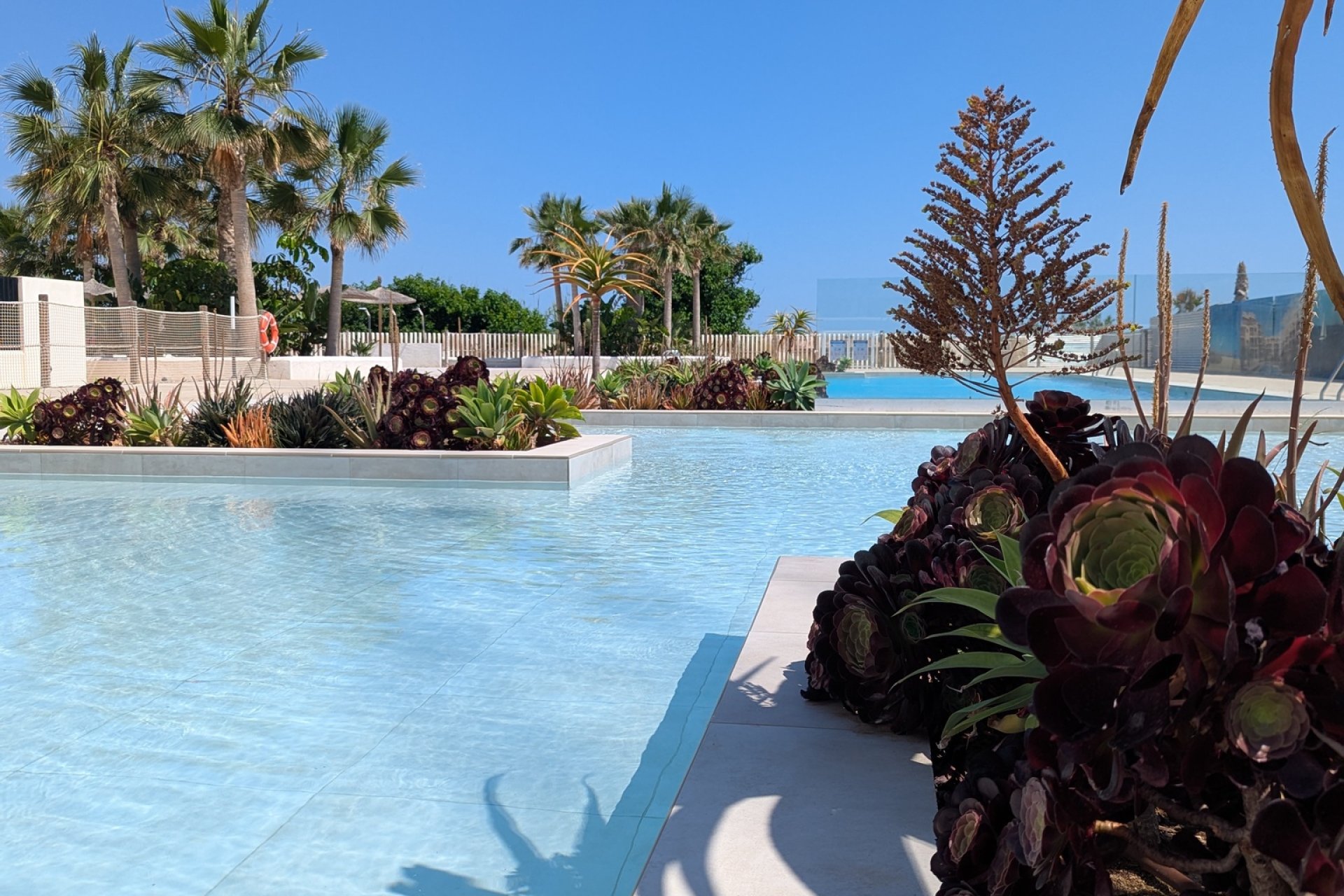 Obra nueva - apartment -
Denia - Dénia